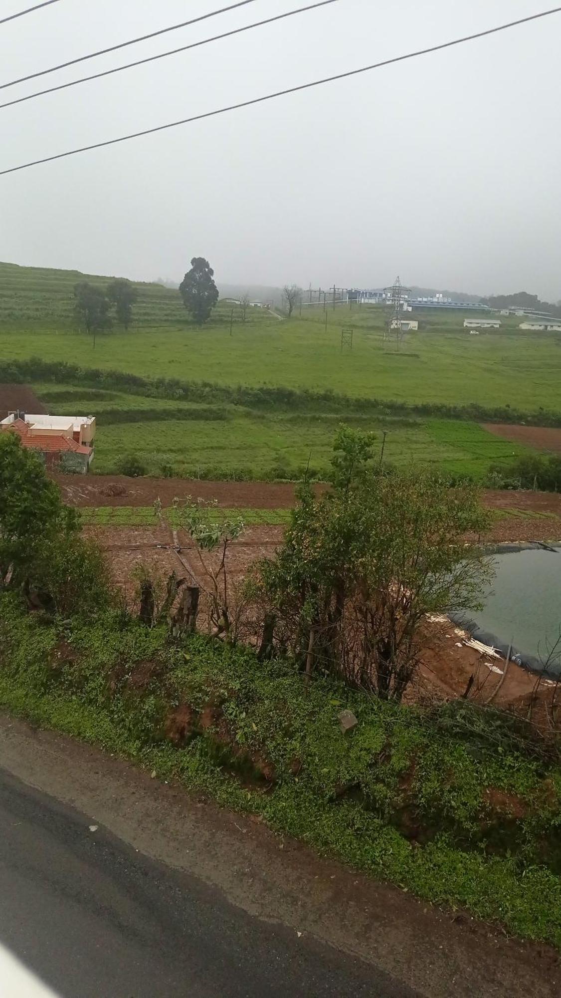 Haze Cottage- Ma Cottage Ooty Exterior foto